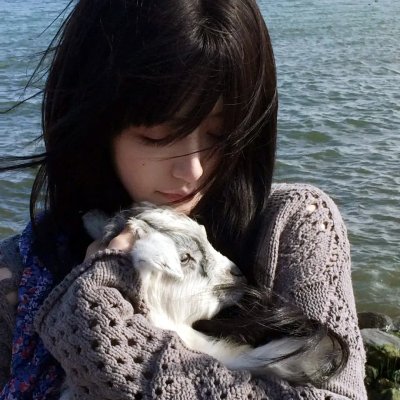 大卫林区：绿野谜踪